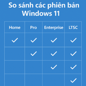 So sánh Windows 11: Home, Pro, Enterprise, LTSC