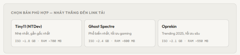 Tải Win 11 Lite ISO Miễn Phí Link Đầy Đủ Tất Cả Phiên Bản